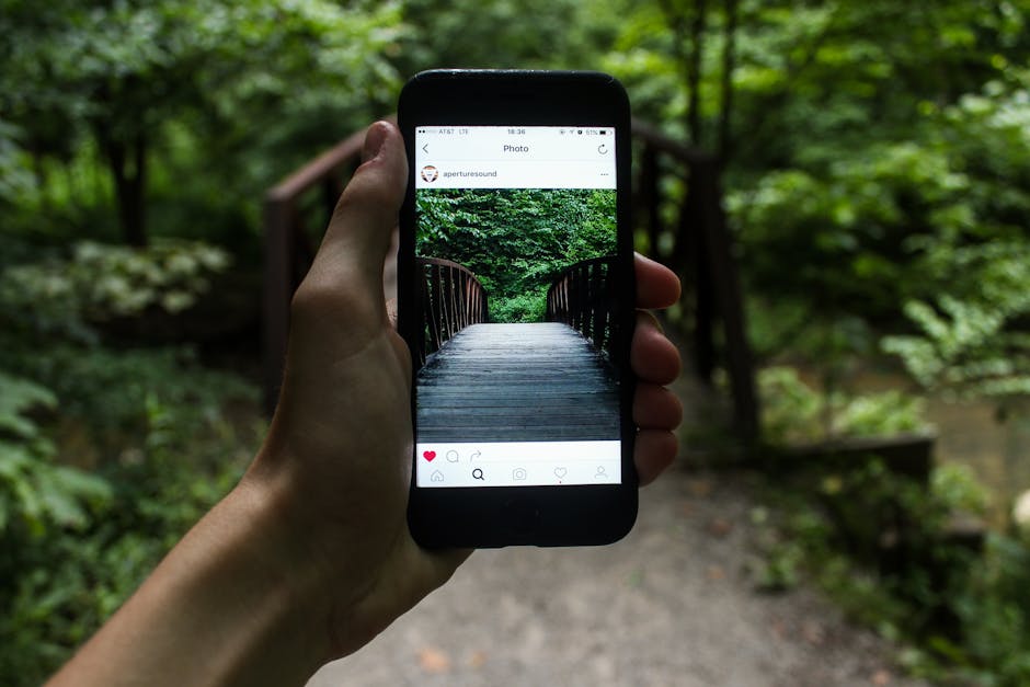 A hand holds a smartphone capturing a forest bridge in a natural setting